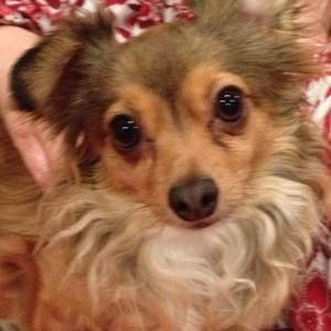 Meet your Posher, Bonnie